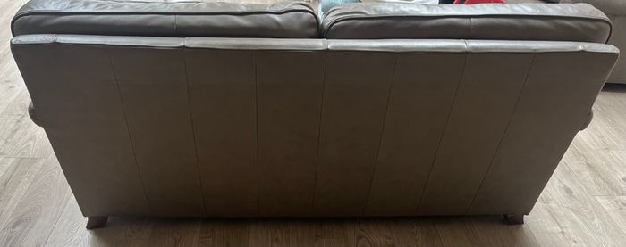 Two Leather Couches