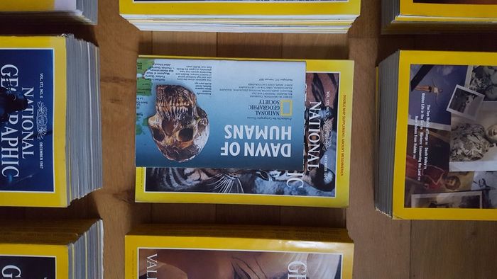 National Geographic magazines x 400 from early 20th century to 2009