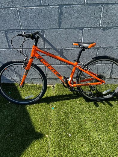 Giant ARX 24 inch