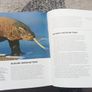 501 Must-visit Natural Wonders Book Image 4