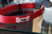 multifunctional dog lease and collar