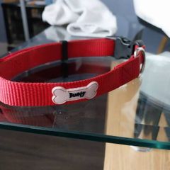 multifunctional dog lease and collar