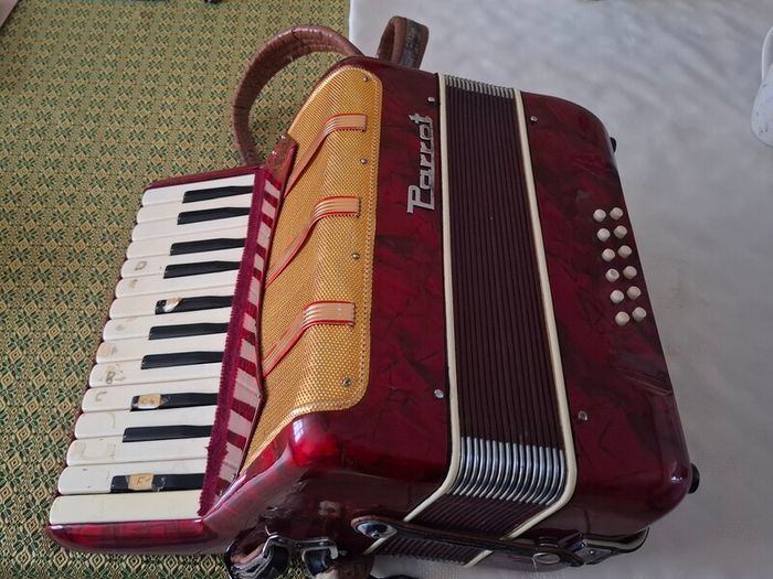 Parrott Piano Accordian