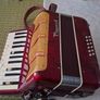 Parrott Piano Accordian Image 2