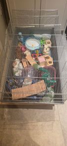 Hamster cage and accessories