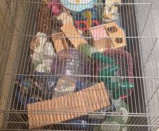 Hamster cage and accessories