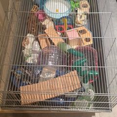 Hamster cage and accessories
