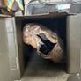 Military Russian ammunition boxes Image 3