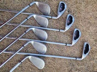 2004 CallawayBig Bertha Irons 4-Sw