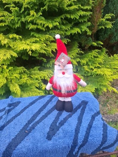 55cm brand new santa postage possible