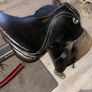 horse saddle Image 3