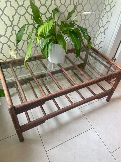 Mid Century bamboo coffee table
