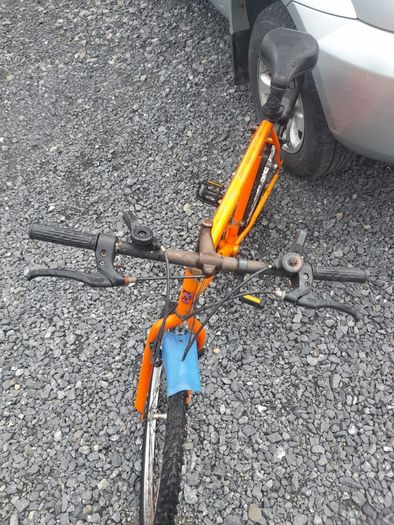Adult Mountain Bike