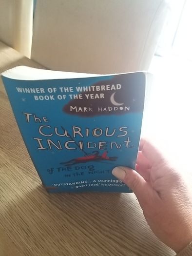 The curious incident of the dog in the night