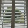 Shutters Image 4