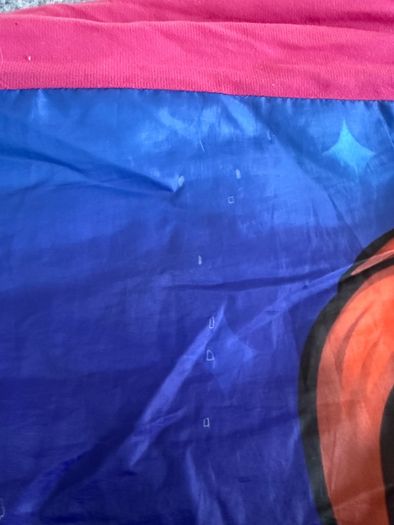 Bratz sleeping bag