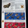 Matchbox RoadBlasters - Carpow Support Offense Rank 7 Image 2