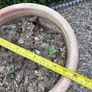 Set of 3 terracotta pots Image 6