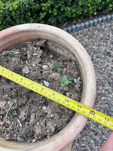 Set of 3 terracotta pots