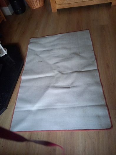 rug