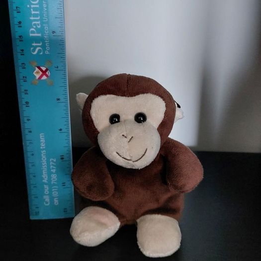 Stuffed animal