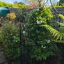 garden furniture Image 7
