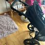 Running Buggy Image 3