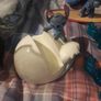 stitch bundle Image 3