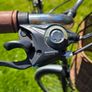 Ladies Cruiser Bicycle Image 3