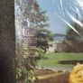 Billy Joel the Nylon curtain lp Image 3