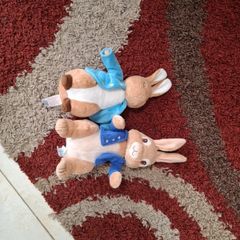 petter rabbit  soft toys