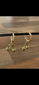 Stainless steel earrings