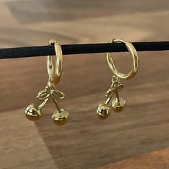 Stainless steel earrings