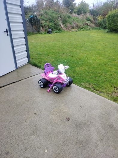 Kids electric quad