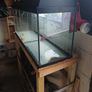 Fish Tank Image 2