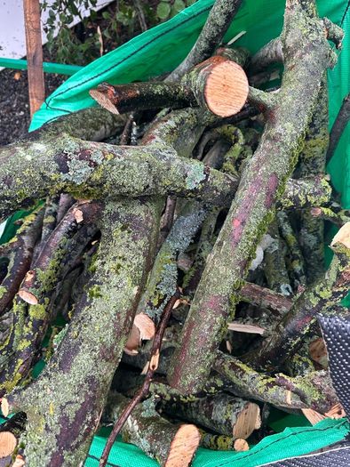Sycamore Firewood