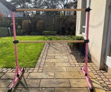 Pink Z ZELUS Double Ballet Barre