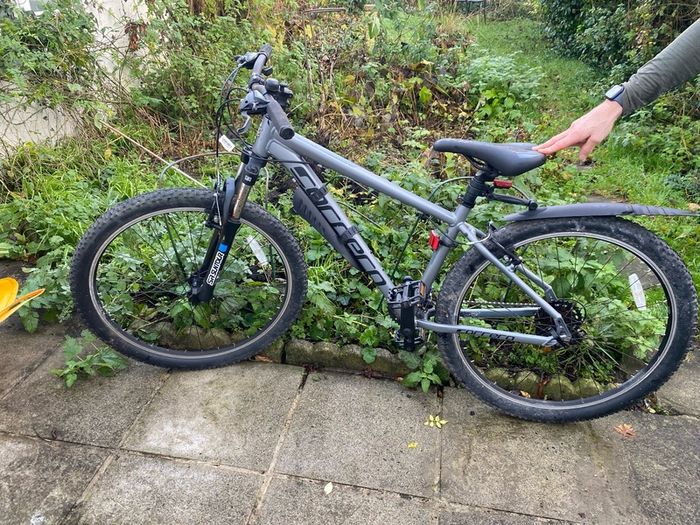 Teenage Boys carrera bike