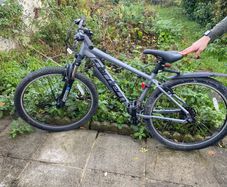 Teenage Boys carrera bike