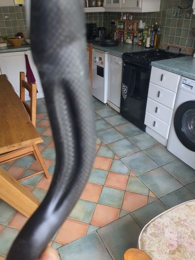 Carbon Handlebars