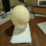 Ostrich egg Image 4