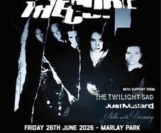 The Cure Marlay Park June 26th 1 GA Standing ticket