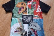 Jurassik World Top   Age 9-10