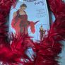 Roaring 20s Dress & Feather Stole Image 3
