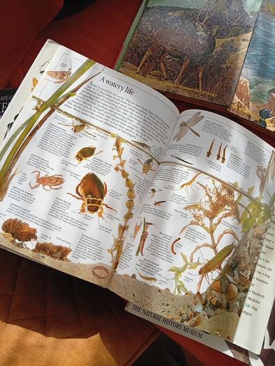 Nature Books