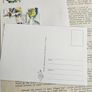 Big Lot of Stamp Memorabilia See All Pictures Image 10