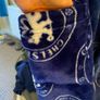 Boys Chelsea Dressing Gown Image 5