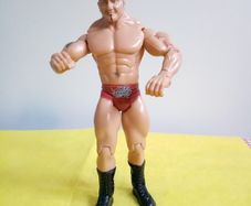 WWE Wrestlers Batista The Animal action