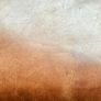 free leather sofa Image 3
