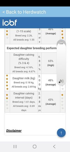 Pbr limousin bulls
